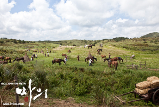 済州島西帰浦市にある、緑豊かで壮大な牧場